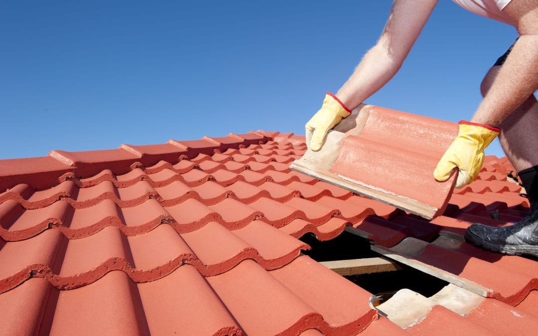 The Homeowner’s Guide to Roof Repairs: Protecting Your Sanctuary